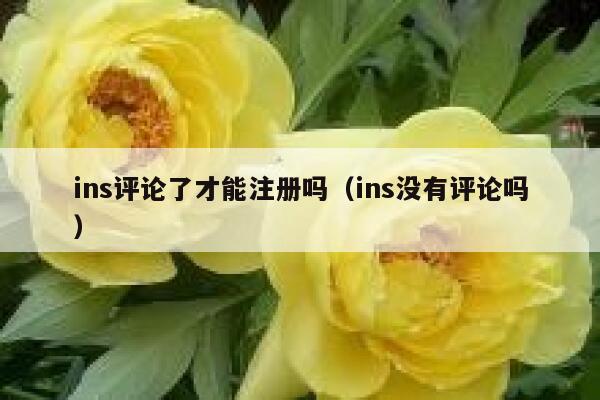 ins评论了才能注册吗（ins没有评论吗） 第1张
