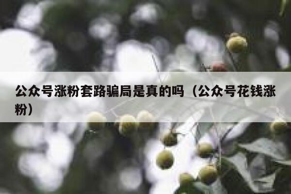 公众号涨粉套路骗局是真的吗（公众号花钱涨粉） 第1张