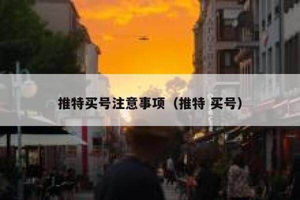推特买号注意事项（推特 买号） 第1张