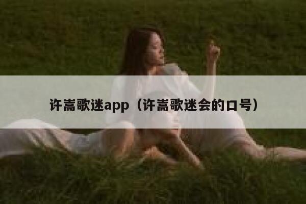 许嵩歌迷app（许嵩歌迷会的口号） 第1张