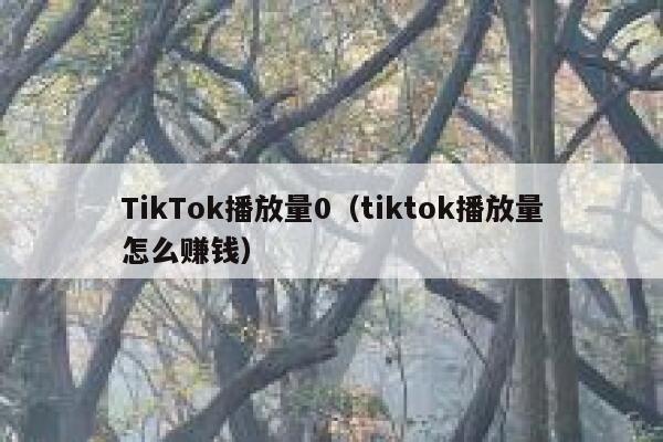TikTok播放量0（tiktok播放量怎么赚钱） 第1张