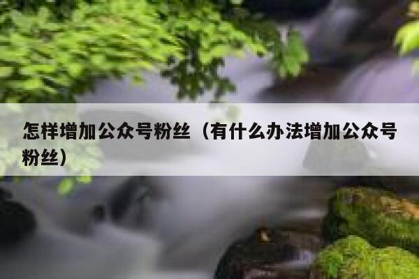 怎样增加公众号粉丝（有什么办法增加公众号粉丝） 第1张