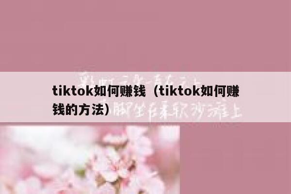 tiktok如何赚钱（tiktok如何赚钱的方法） 第1张