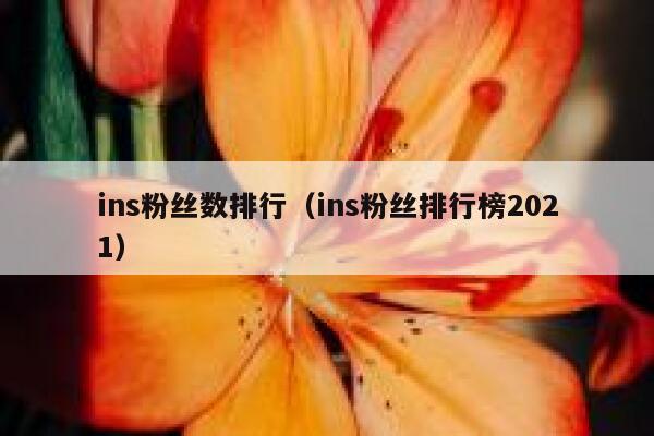 ins粉丝数排行（ins粉丝排行榜2021） 第1张