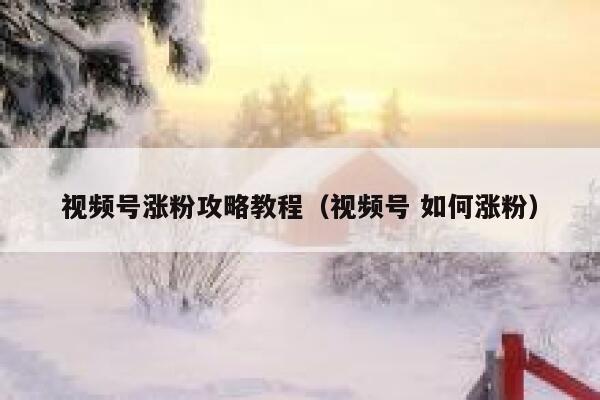 视频号涨粉攻略教程（视频号 如何涨粉） 第1张