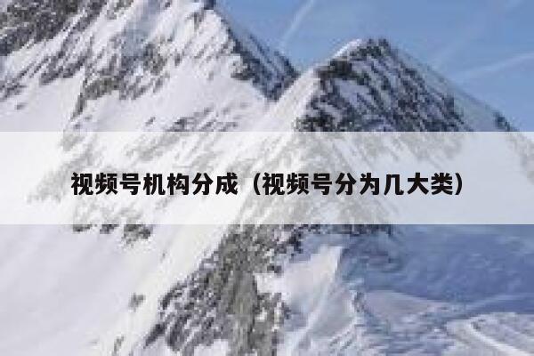 视频号机构分成（视频号分为几大类） 第1张