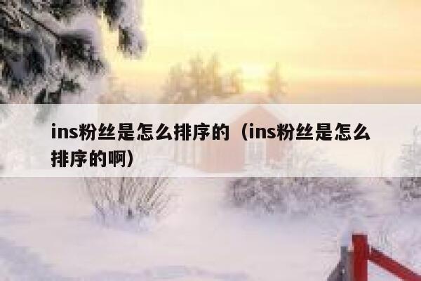 ins粉丝是怎么排序的（ins粉丝是怎么排序的啊） 第1张