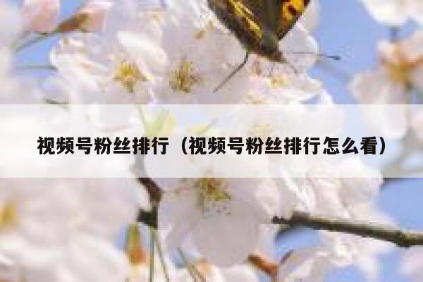 视频号粉丝排行（视频号粉丝排行怎么看） 第1张