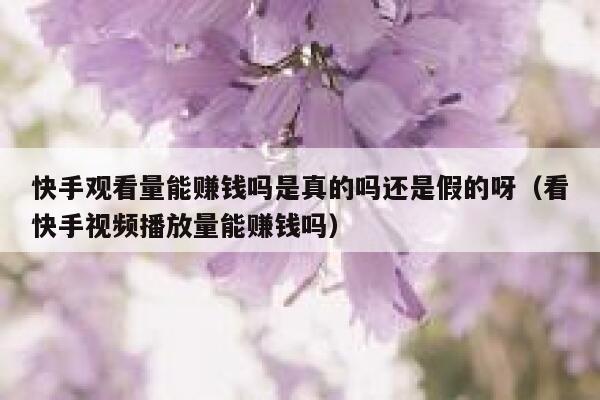 快手观看量能赚钱吗是真的吗还是假的呀（看快手视频播放量能赚钱吗） 第1张
