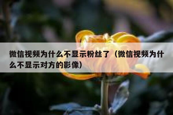 微信视频为什么不显示粉丝了（微信视频为什么不显示对方的影像） 第1张