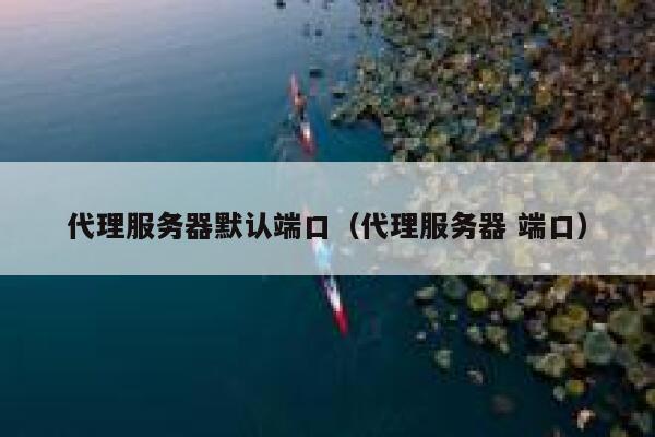 代理服务器默认端口（代理服务器 端口） 第1张