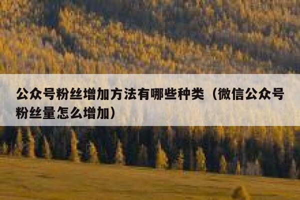 公众号粉丝增加方法有哪些种类（微信公众号粉丝量怎么增加） 第1张