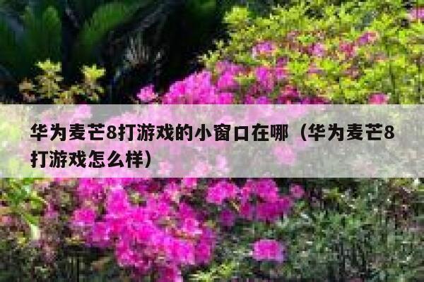 华为麦芒8打游戏的小窗口在哪（华为麦芒8打游戏怎么样） 第1张
