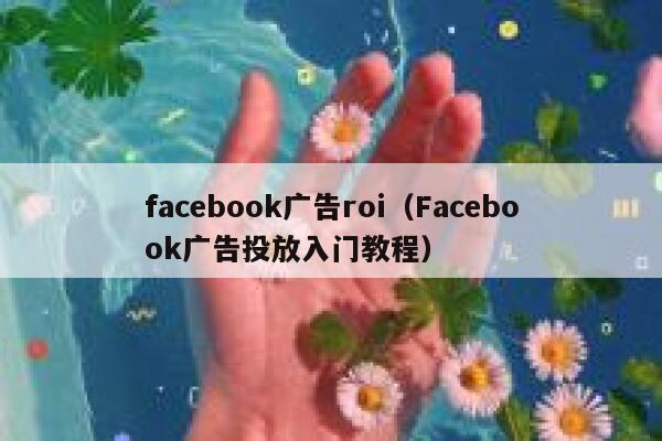 facebook广告roi（Facebook广告投放入门教程） 第1张
