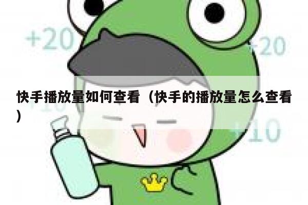 快手播放量如何查看（快手的播放量怎么查看） 第1张