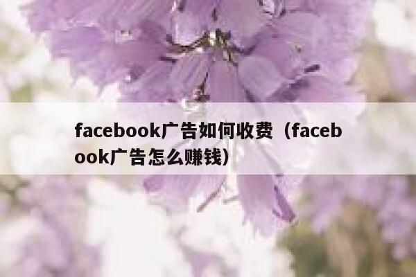 facebook广告如何收费（facebook广告怎么赚钱） 第1张