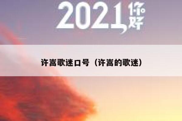 许嵩歌迷口号（许嵩的歌迷） 第1张