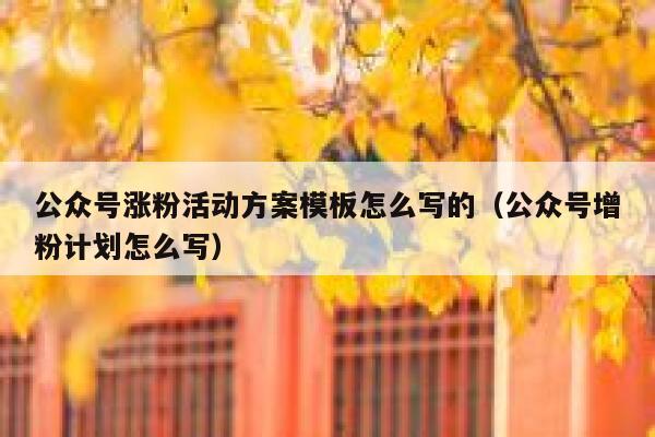 公众号涨粉活动方案模板怎么写的（公众号增粉计划怎么写） 第1张