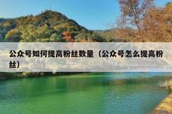 公众号如何提高粉丝数量（公众号怎么提高粉丝） 第1张