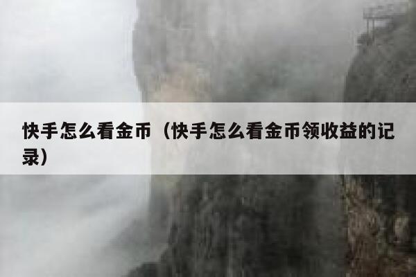 快手怎么看金币（快手怎么看金币领收益的记录） 第1张