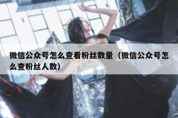 微信公众号怎么查看粉丝数量（微信公众号怎么查粉丝人数） 第1张