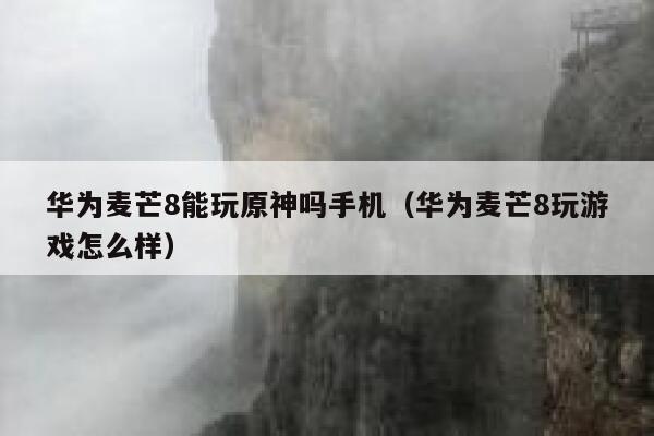 华为麦芒8能玩原神吗手机（华为麦芒8玩游戏怎么样） 第1张