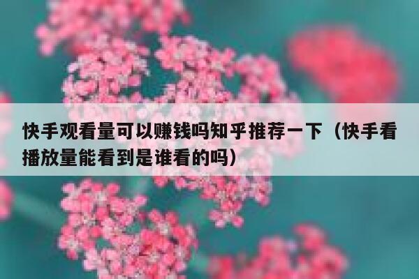 快手观看量可以赚钱吗知乎推荐一下（快手看播放量能看到是谁看的吗） 第1张