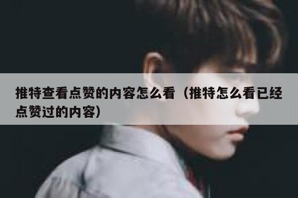 推特查看点赞的内容怎么看（推特怎么看已经点赞过的内容） 第1张