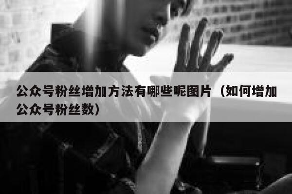 公众号粉丝增加方法有哪些呢图片（如何增加公众号粉丝数） 第1张