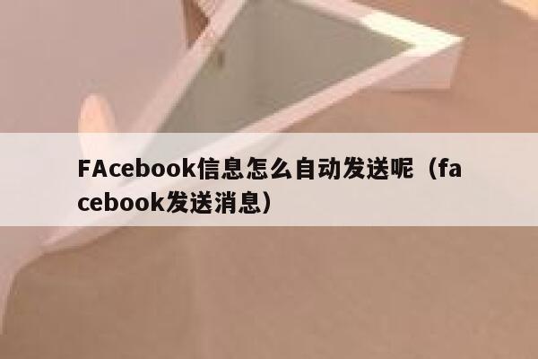 FAcebook信息怎么自动发送呢（facebook发送消息） 第1张