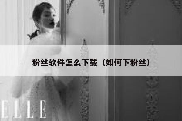 粉丝软件怎么下载（如何下粉丝） 第1张