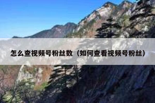 怎么查视频号粉丝数（如何查看视频号粉丝） 第1张