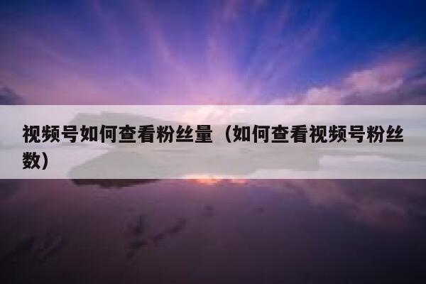 视频号如何查看粉丝量（如何查看视频号粉丝数） 第1张