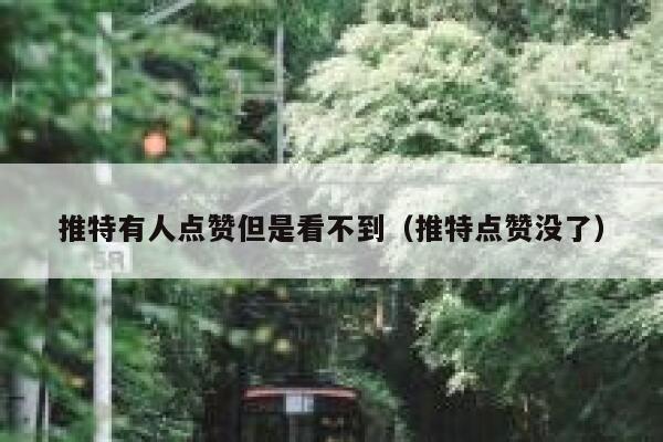 推特有人点赞但是看不到（推特点赞没了） 第1张