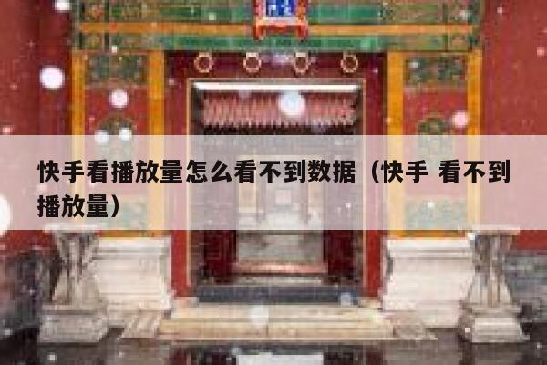 快手看播放量怎么看不到数据（快手 看不到播放量） 第1张