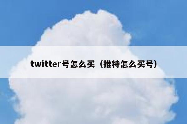 twitter号怎么买（推特怎么买号） 第1张