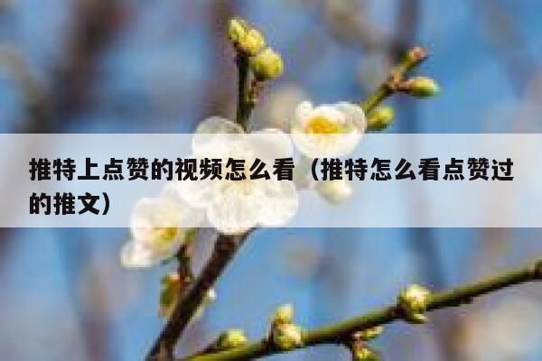 推特上点赞的视频怎么看（推特怎么看点赞过的推文） 第1张