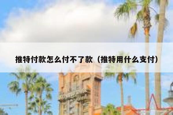 推特付款怎么付不了款（推特用什么支付） 第1张