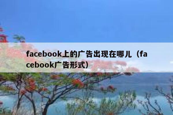 facebook上的广告出现在哪儿（facebook广告形式） 第1张