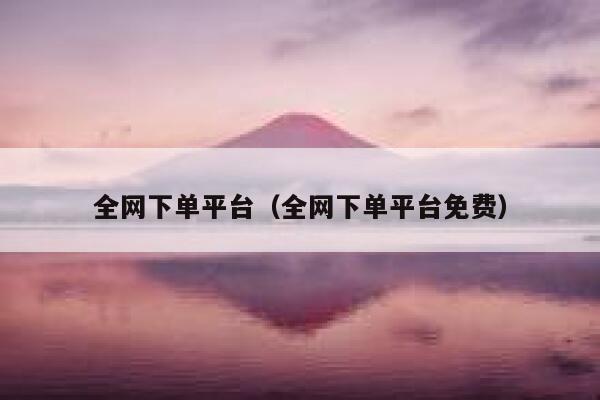 全网下单平台（全网下单平台免费） 第1张