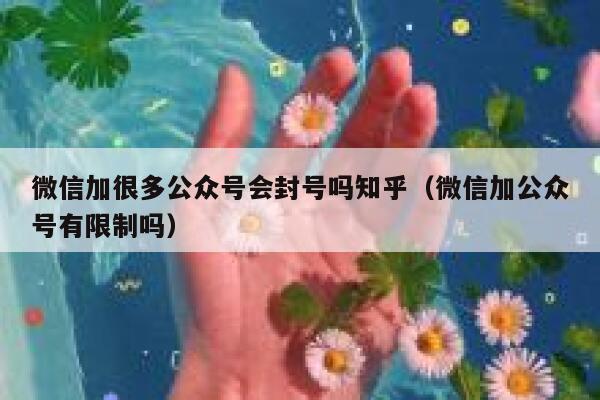 微信加很多公众号会封号吗知乎（微信加公众号有限制吗） 第1张