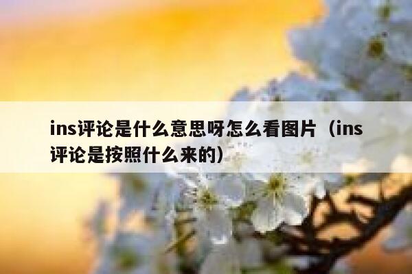 ins评论是什么意思呀怎么看图片（ins评论是按照什么来的） 第1张