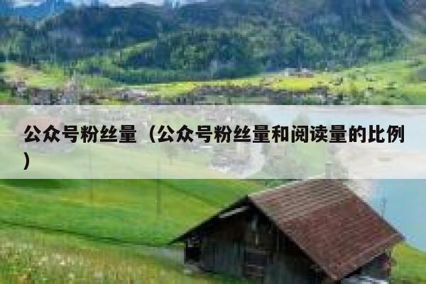 公众号粉丝量（公众号粉丝量和阅读量的比例） 第1张