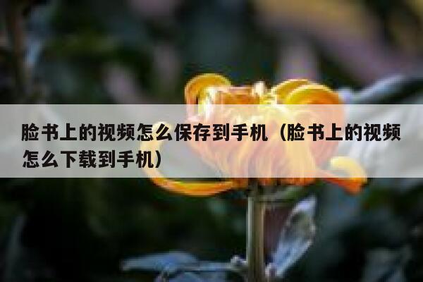脸书上的视频怎么保存到手机（脸书上的视频怎么下载到手机） 第1张