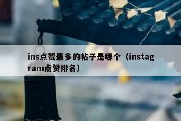 ins点赞最多的帖子是哪个（instagram点赞排名） 第1张