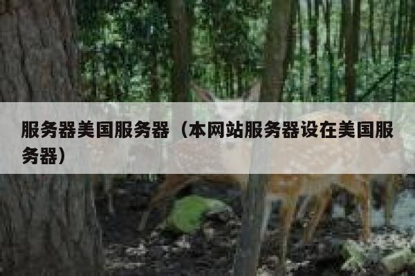 服务器美国服务器（本网站服务器设在美国服务器） 第1张