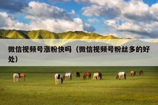 微信视频号涨粉快吗（微信视频号粉丝多的好处） 第1张