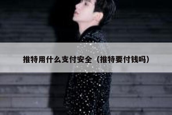 推特用什么支付安全（推特要付钱吗） 第1张