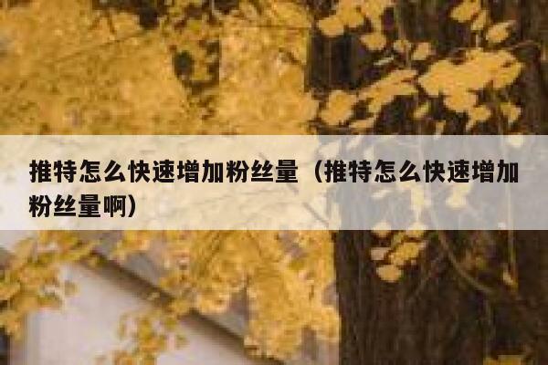 推特怎么快速增加粉丝量（推特怎么快速增加粉丝量啊） 第1张
