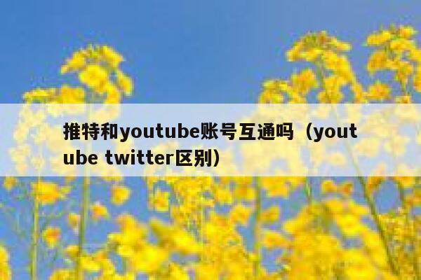 推特和youtube账号互通吗（youtube twitter区别） 第1张